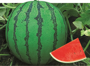 ���д�����